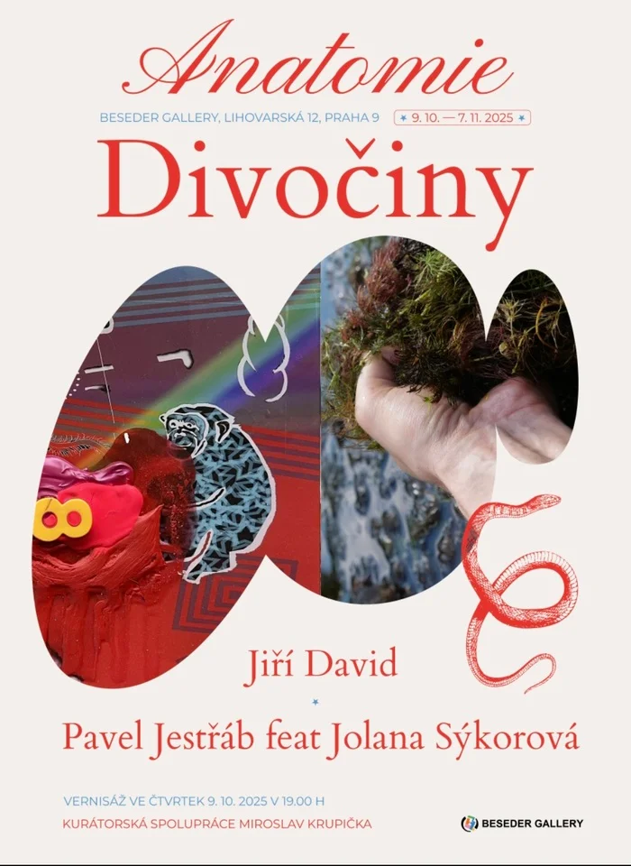 Výstava: Anatomie Divočiny